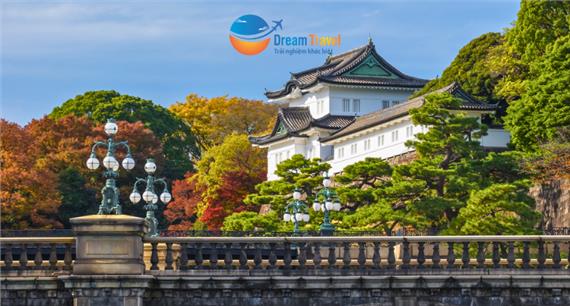Tour Nhật Bản Mùa Thu 6N5Đ: Cung Đường Tokyo - Phú Sĩ